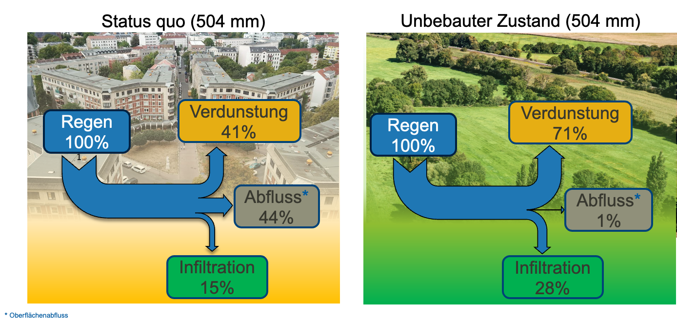 Jährlicher Wasserhaushalt des Kolonnadenviertels verglichen mit dem Referenzwert.